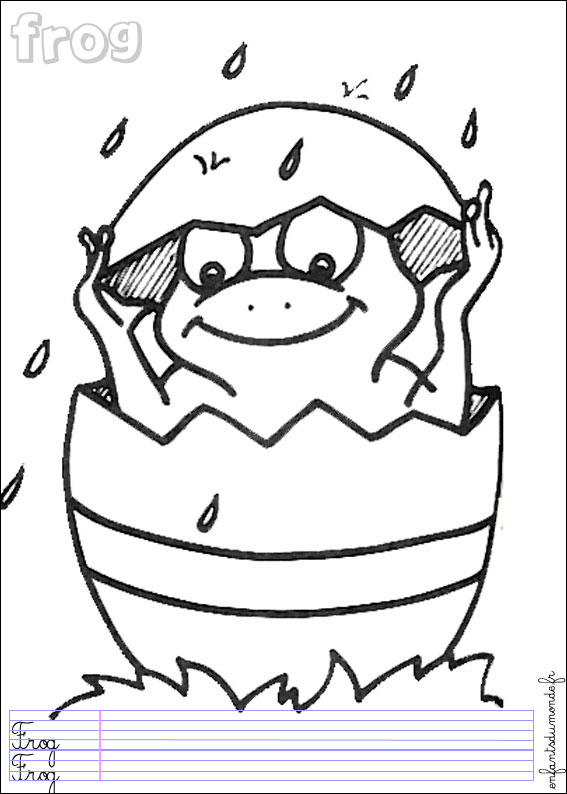 coloriage grenouille 2